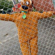 scarecrow04