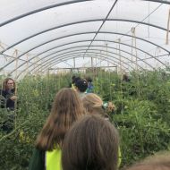 image00002