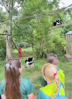 2025-26-mars-zoo04