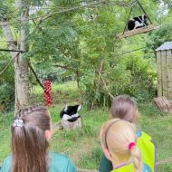 2025-26-mars-zoo04