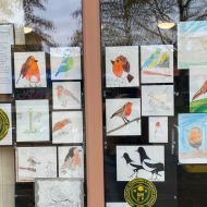 birds02