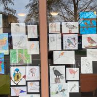 birds03